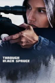 فيلم Through Black Spruce 2018 مترجم